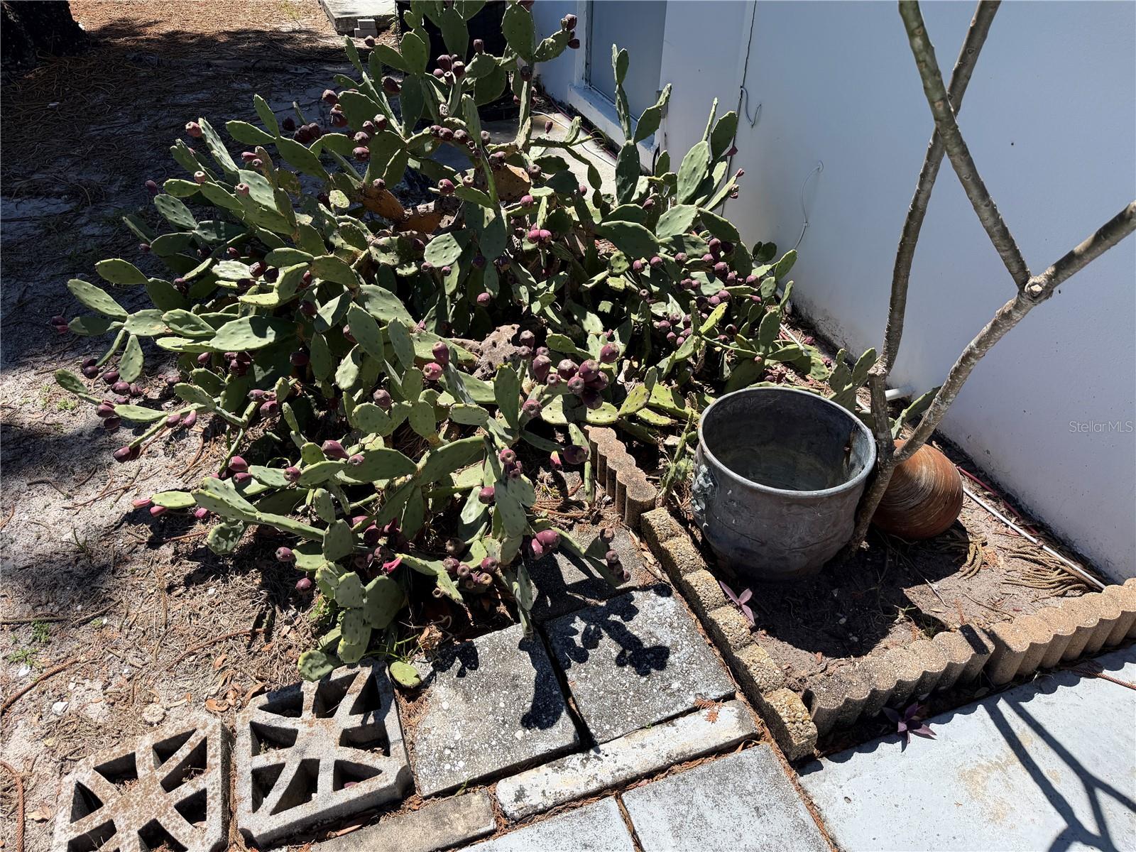 Image 14 of 26 For 1221 Drew Street A2