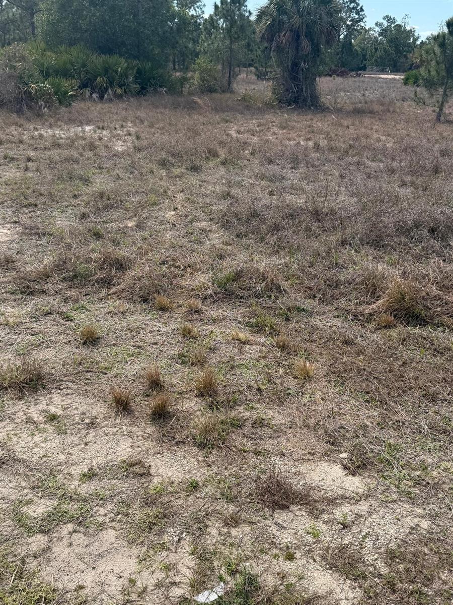 Details for 1511 Columbus Avenue, LEHIGH ACRES, FL 33972