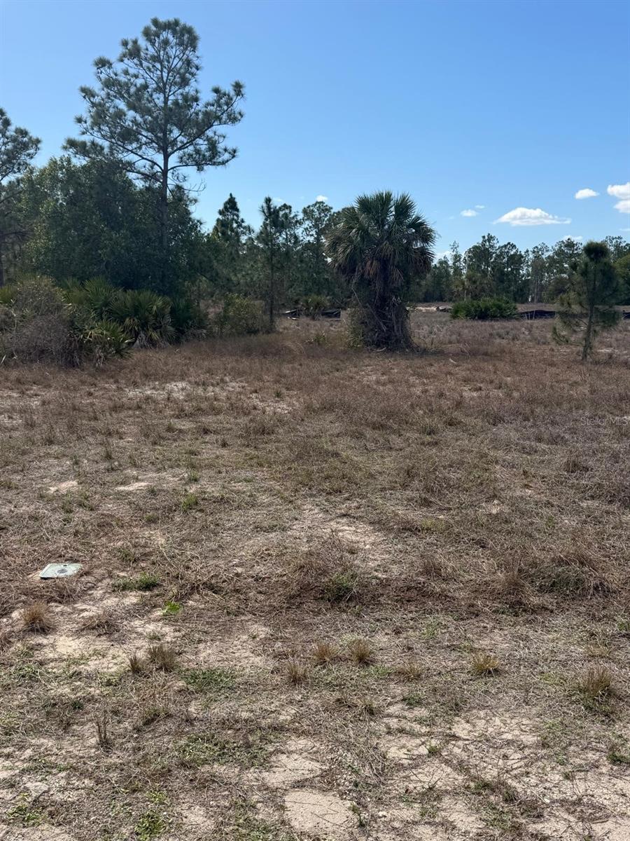 Image 2 of 3 For 1511 Columbus Avenue