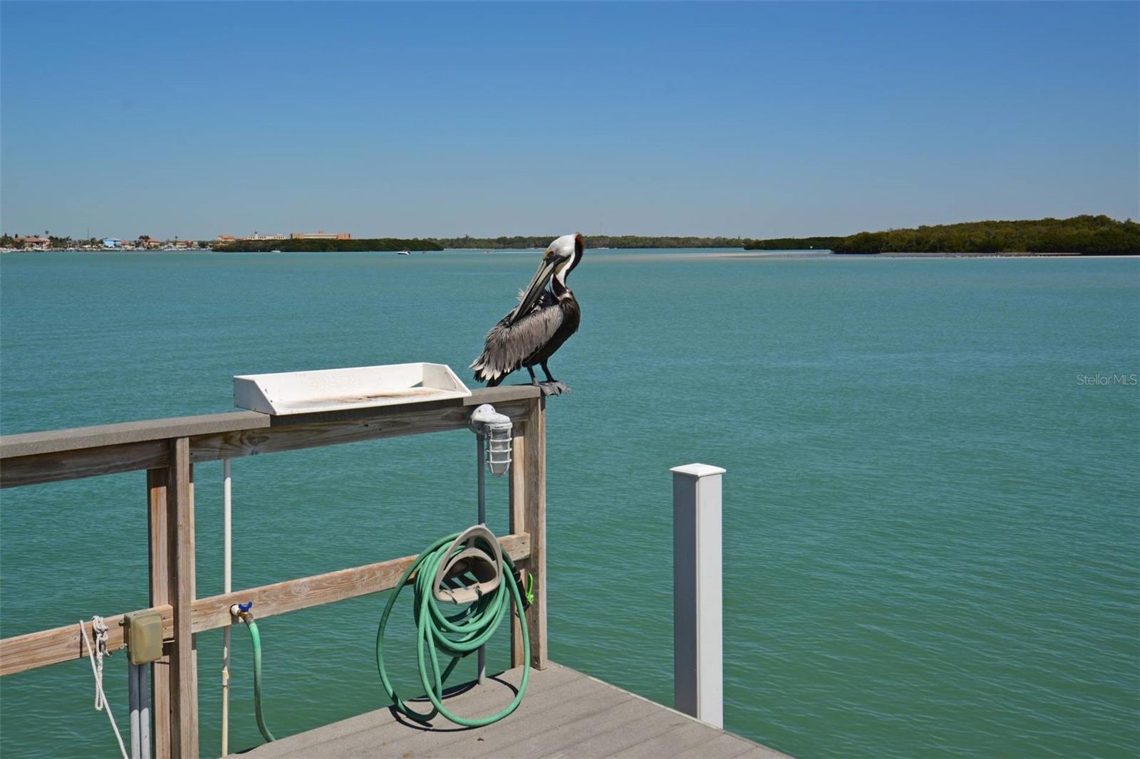 Image 47 of 54 For 1 Key Capri  102e