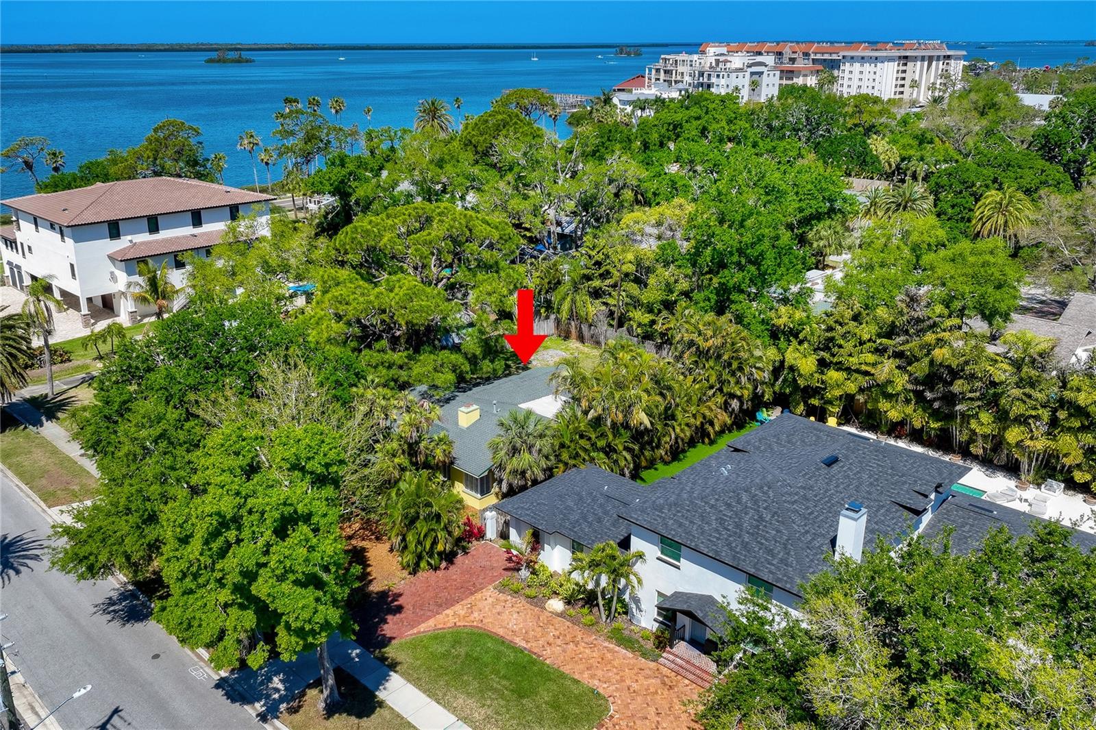 Image 9 of 11 For 224 Lyndhurst Street