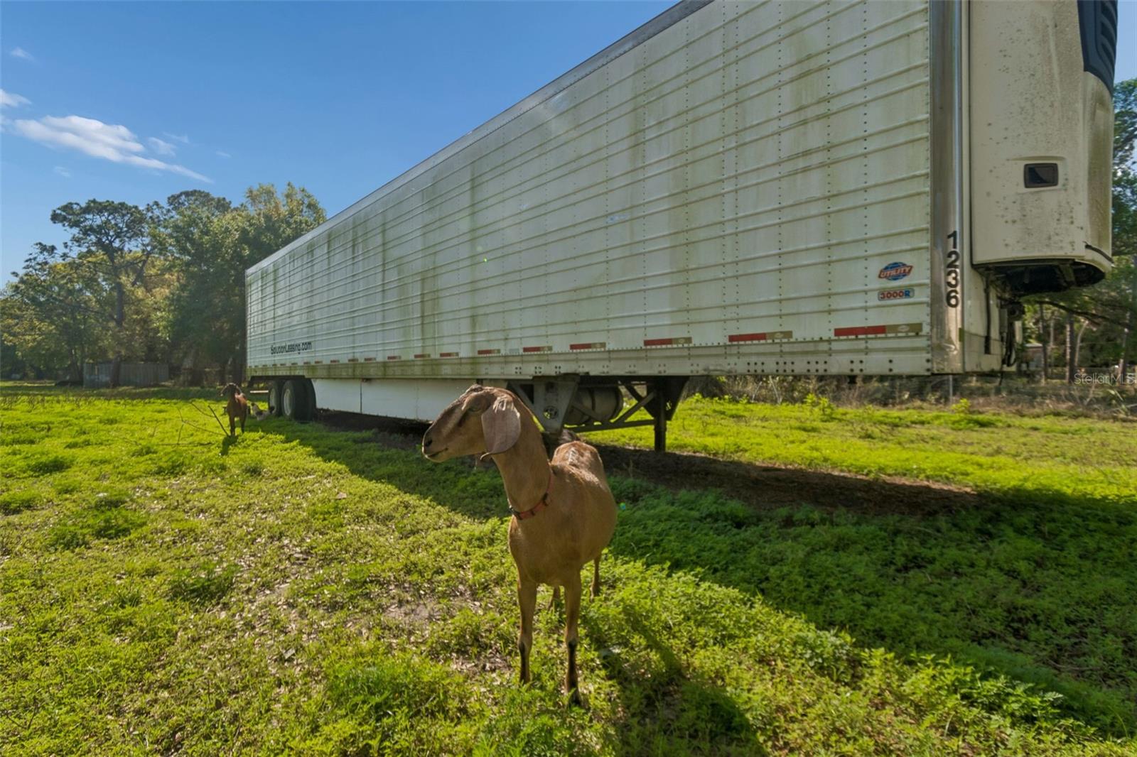 Image 36 of 51 For 6213 Orient Road