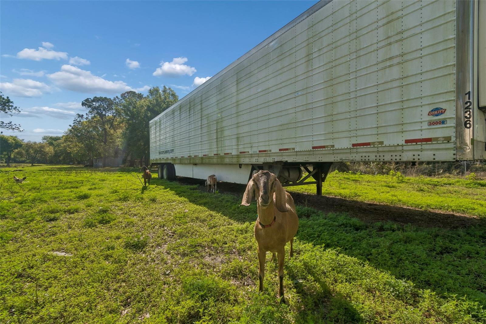 Image 37 of 51 For 6213 Orient Road