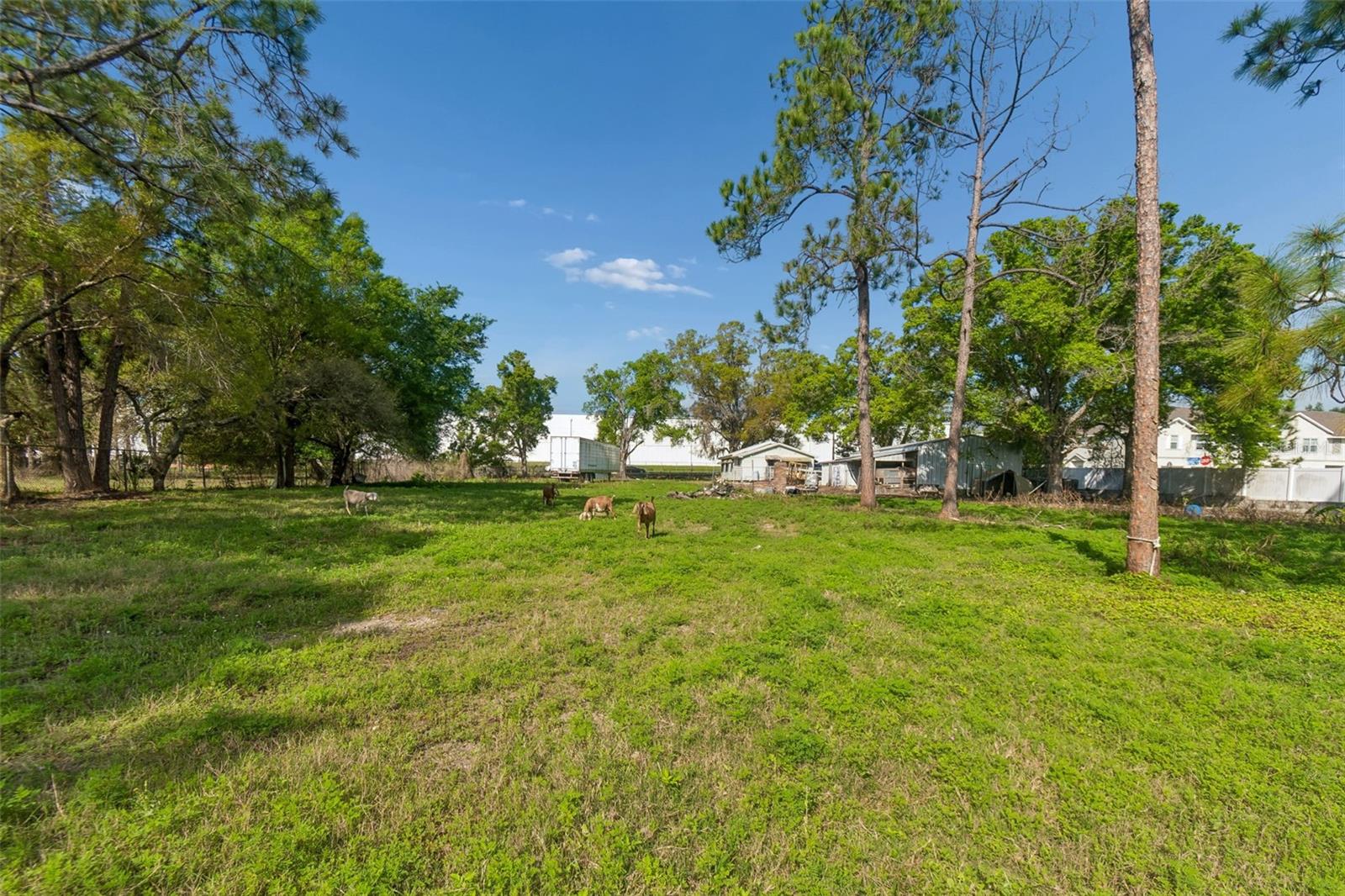 Image 43 of 51 For 6213 Orient Road