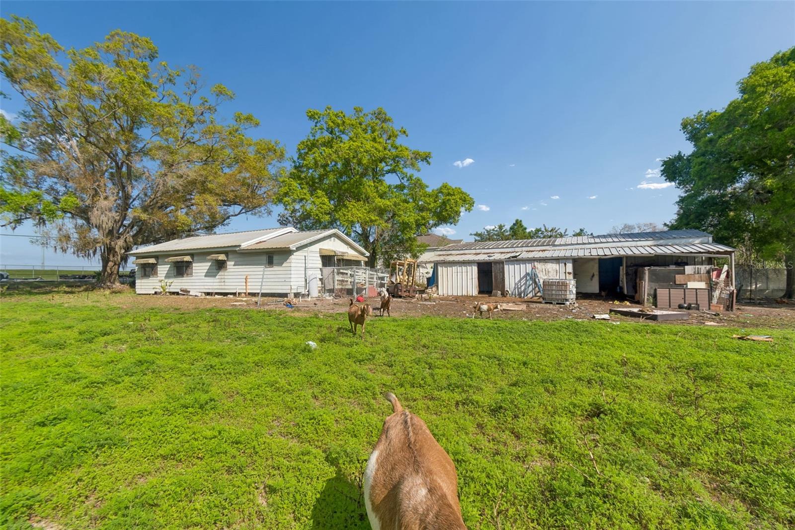 Image 49 of 51 For 6213 Orient Road