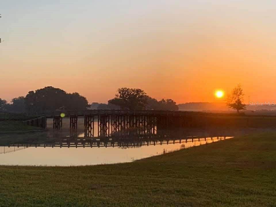 Image 74 of 75 For 31726 Cabana Rye Avenue