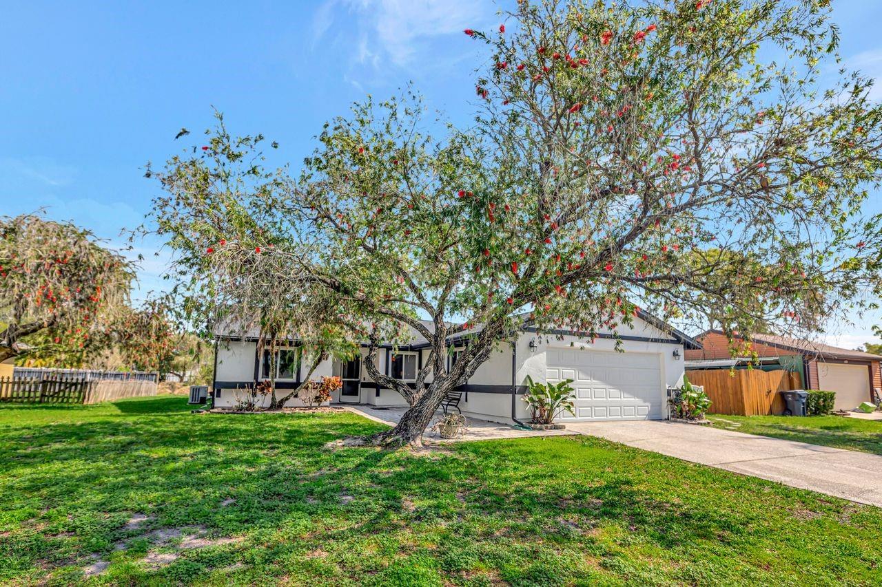 Image 3 of 44 For 435 Lakeview Drive