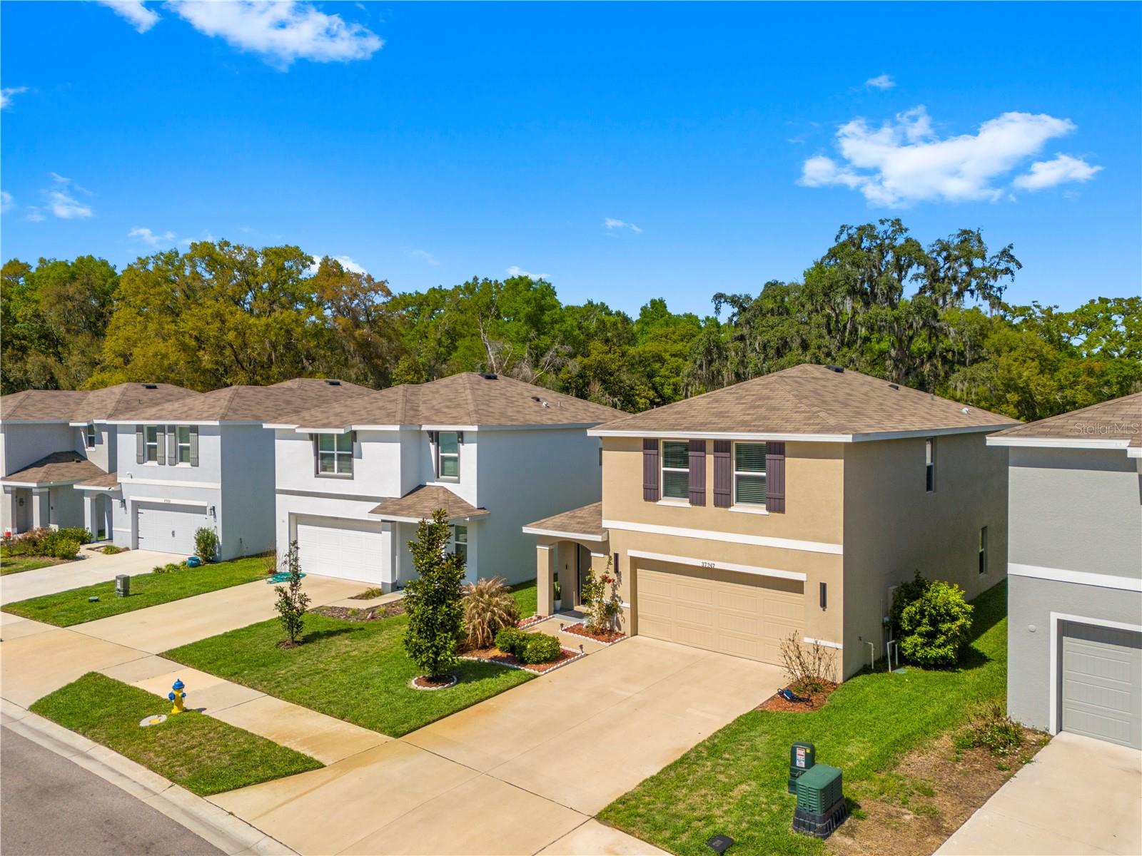 Image 48 of 59 For 37247 Kings Crown Drive