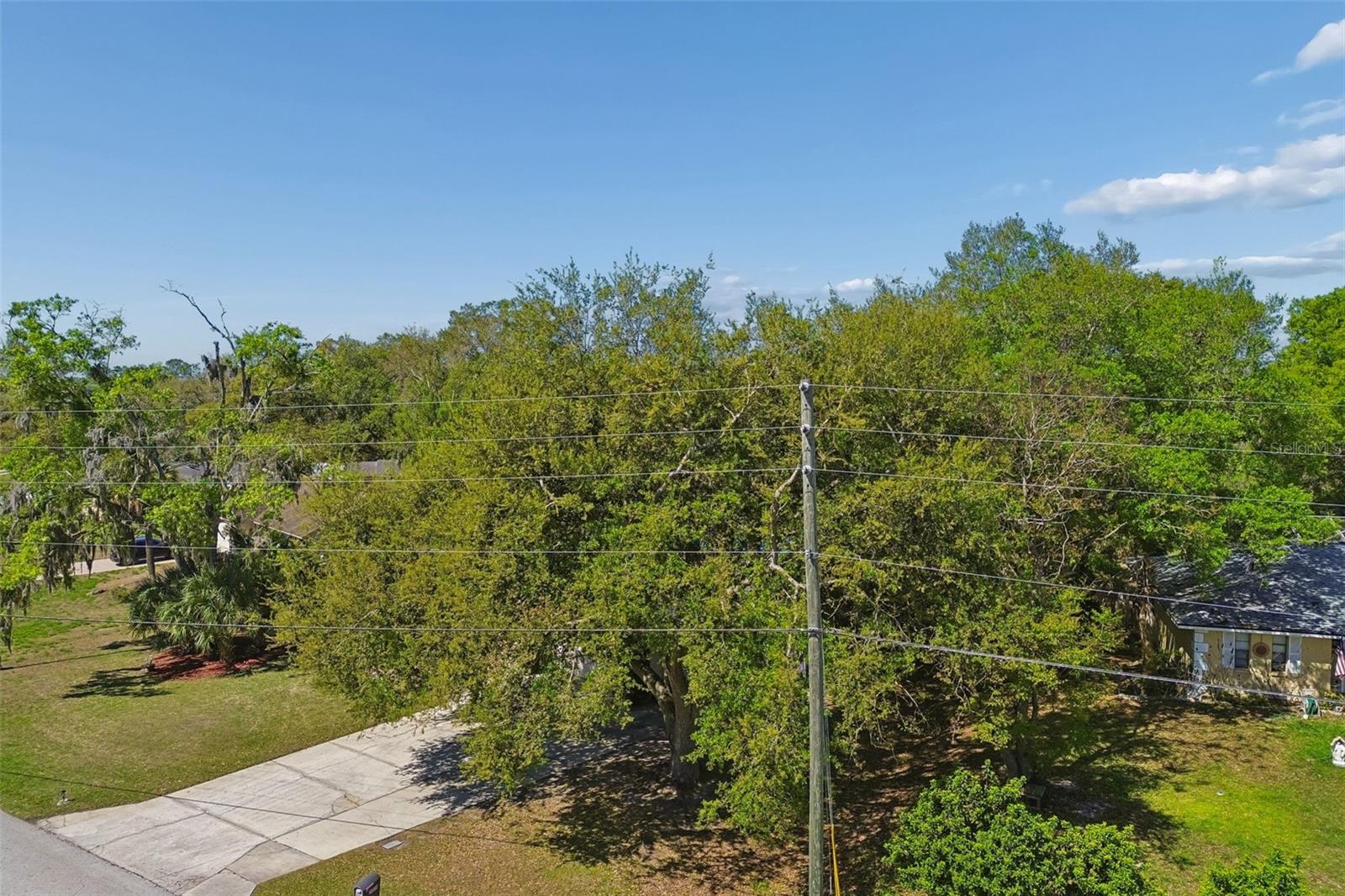 Image 77 of 100 For 5059 Bernadette Drive