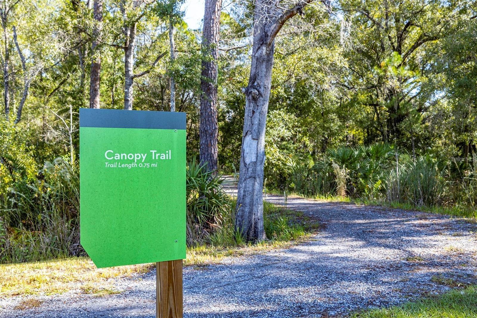 Image 45 of 56 For 4124 Revival Lane