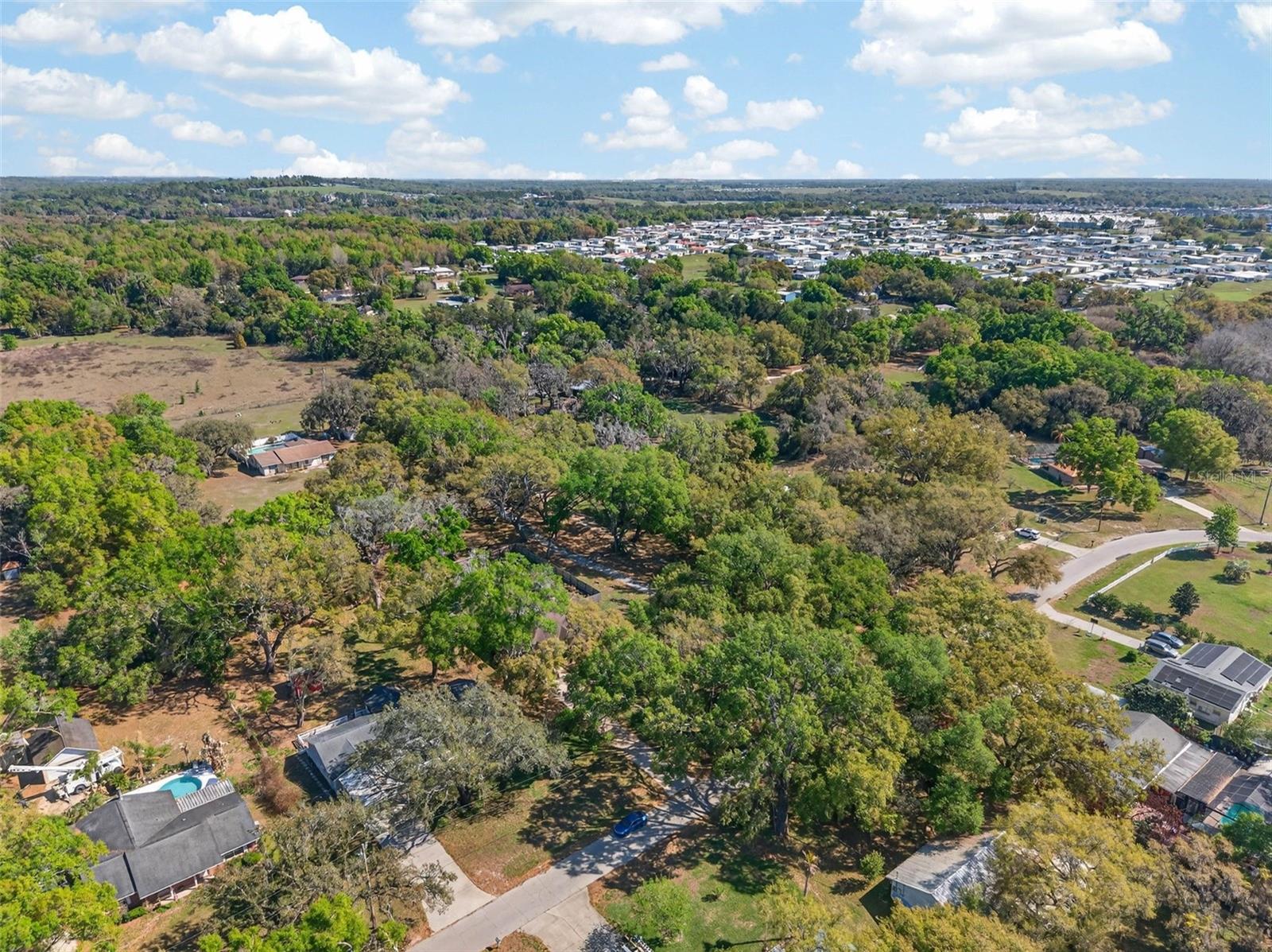 Image 75 of 77 For 37213 Price Drive