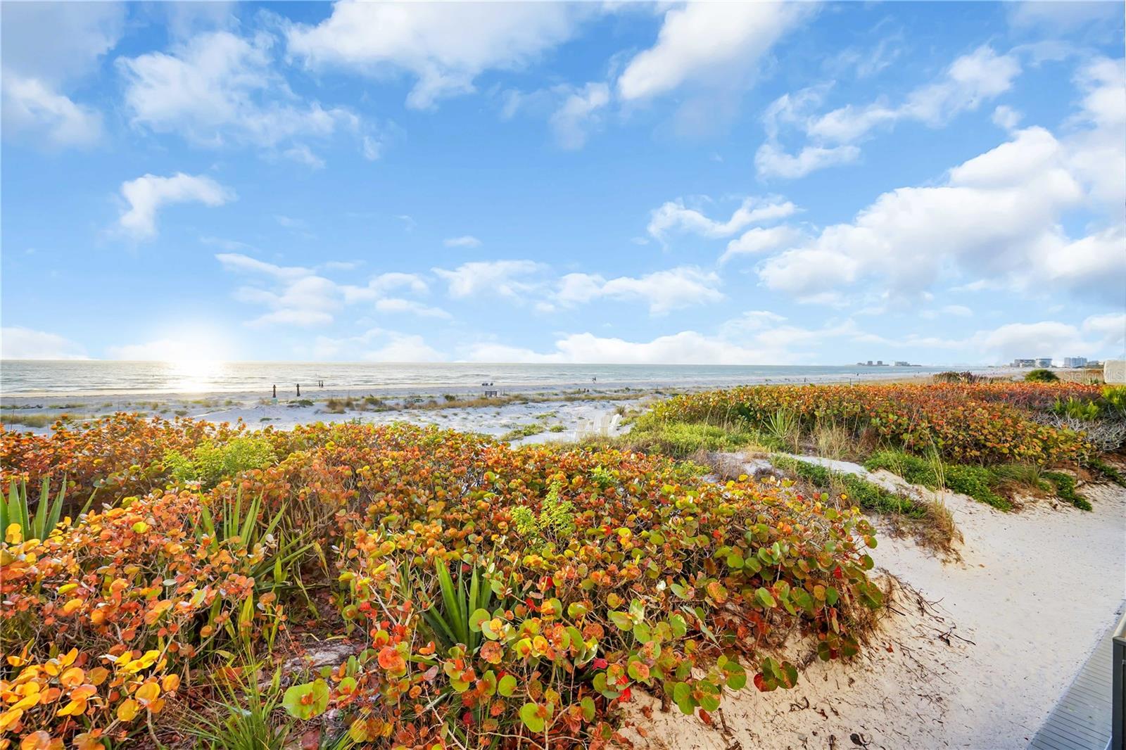 Image 33 of 44 For 3110 1st Street W 101