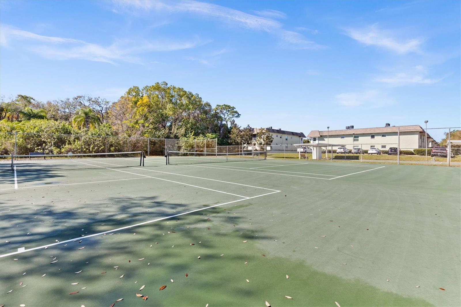 Image 33 of 48 For 1250 Pinellas Avenue 214