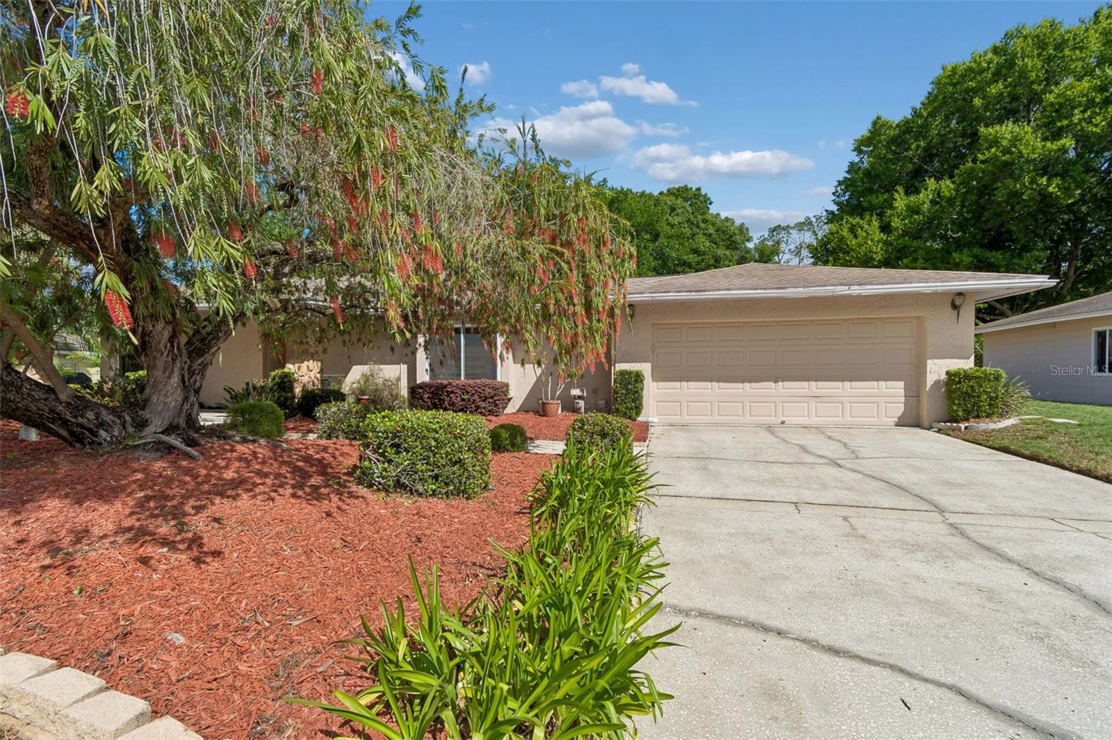 Details for 9004 Hogans Bend, TAMPA, FL 33647