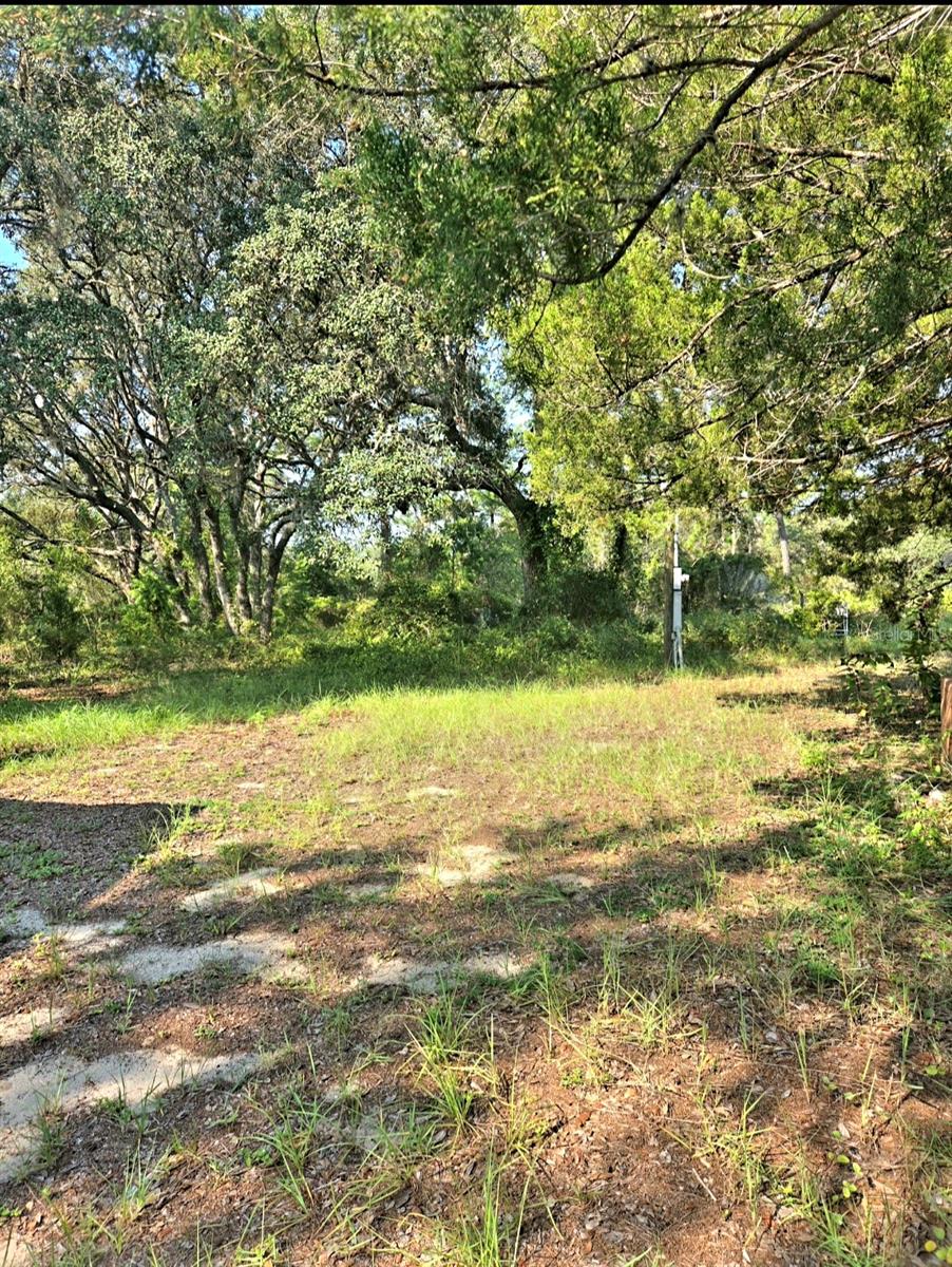 Image 44 of 48 For 12070 63rd Place