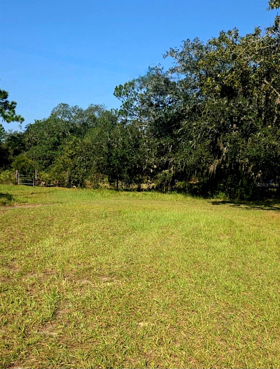 Image 47 of 48 For 12070 63rd Place