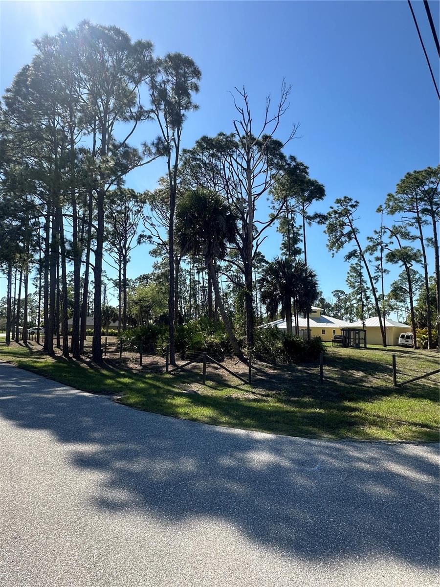 Image 5 of 13 For Pinewood Street