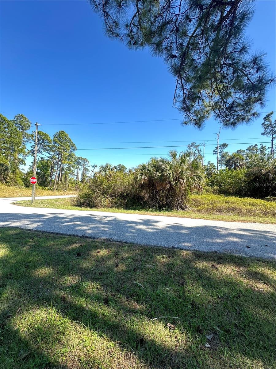 Image 6 of 13 For Pinewood Street