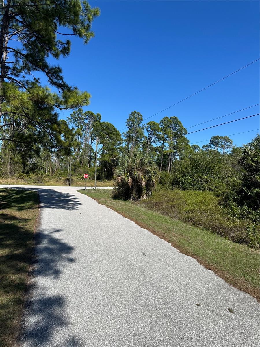 Image 7 of 13 For Pinewood Street