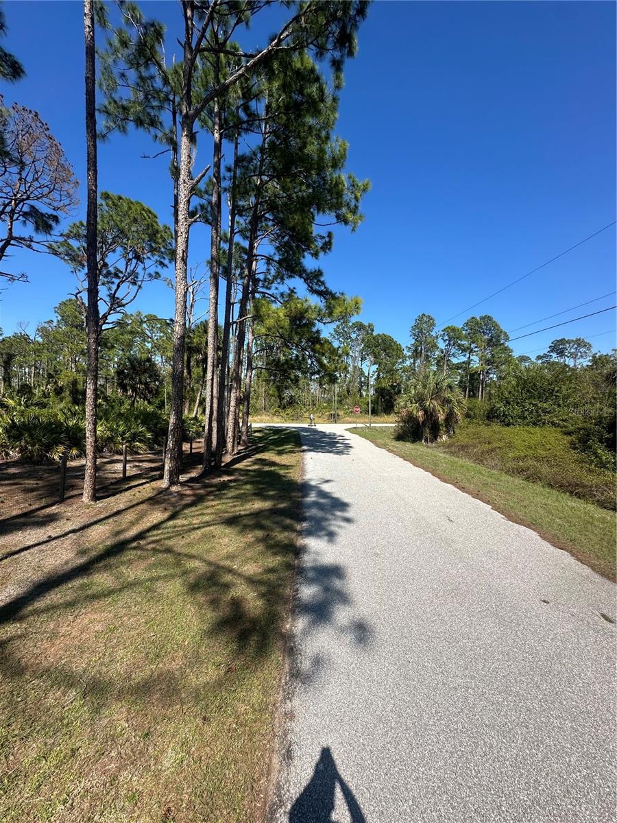 Image 8 of 13 For Pinewood Street