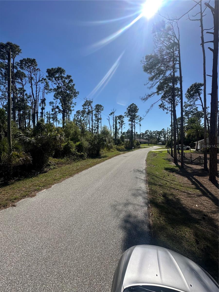 Image 9 of 13 For Pinewood Street