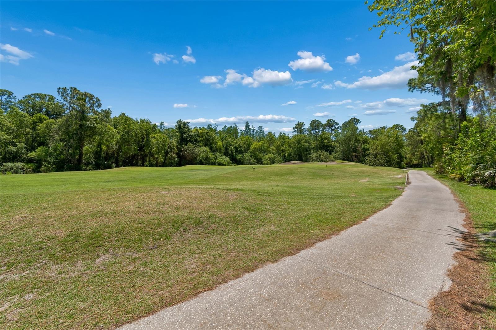 Image 61 of 95 For 10423 Greenhedges Drive