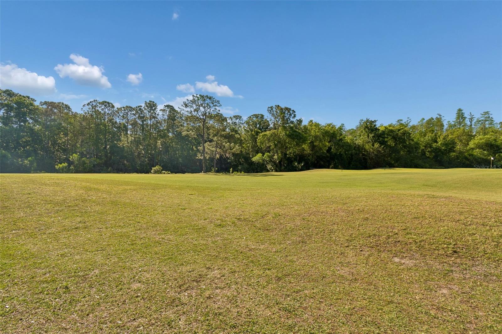 Image 62 of 95 For 10423 Greenhedges Drive