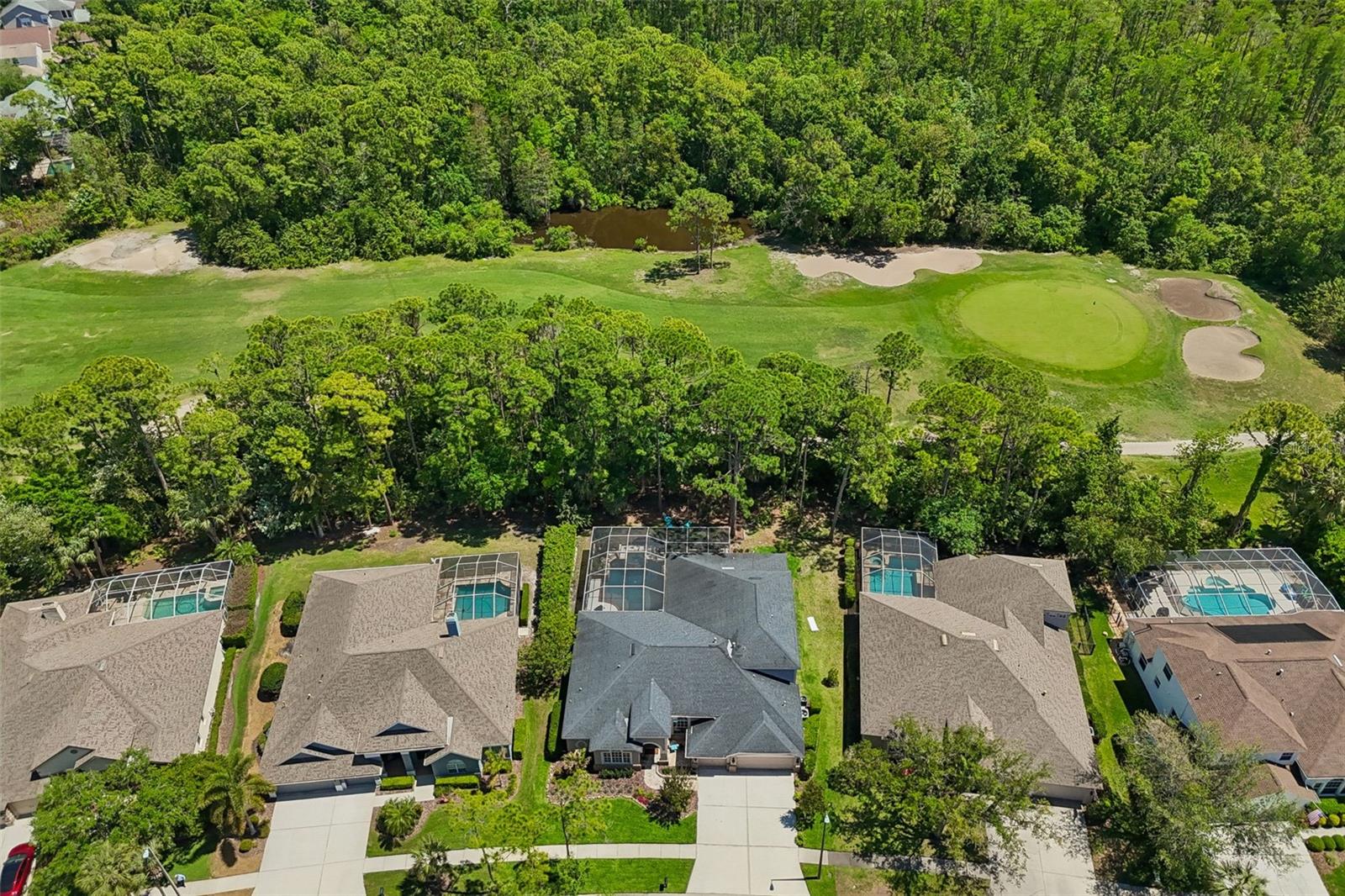 Image 65 of 95 For 10423 Greenhedges Drive