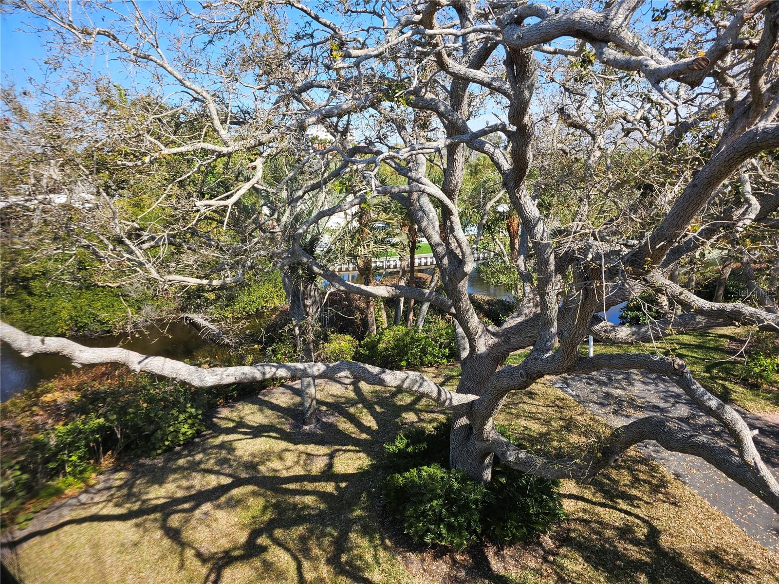 Image 81 of 93 For 225 Hourglass Way 303