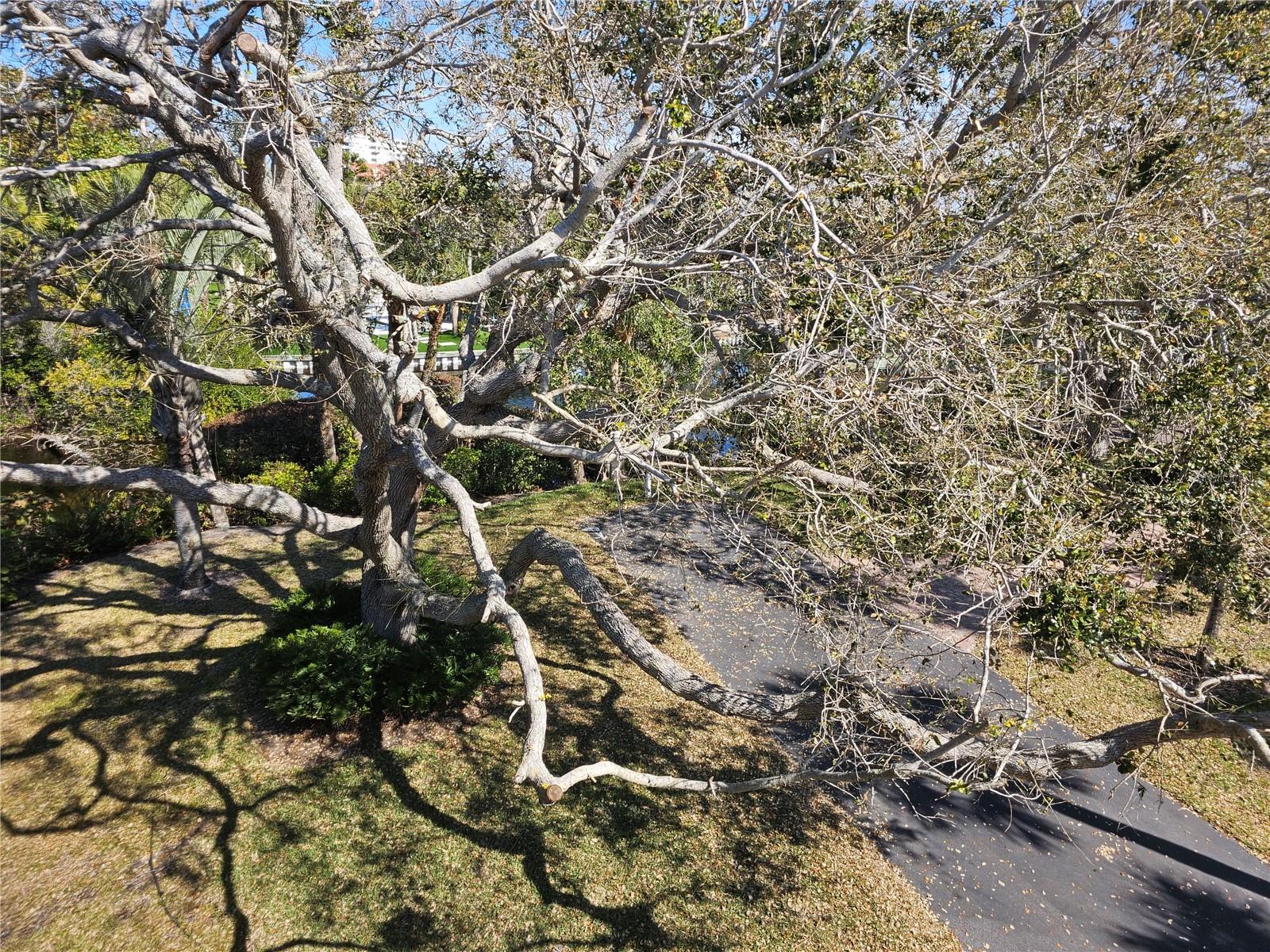 Image 83 of 93 For 225 Hourglass Way 303