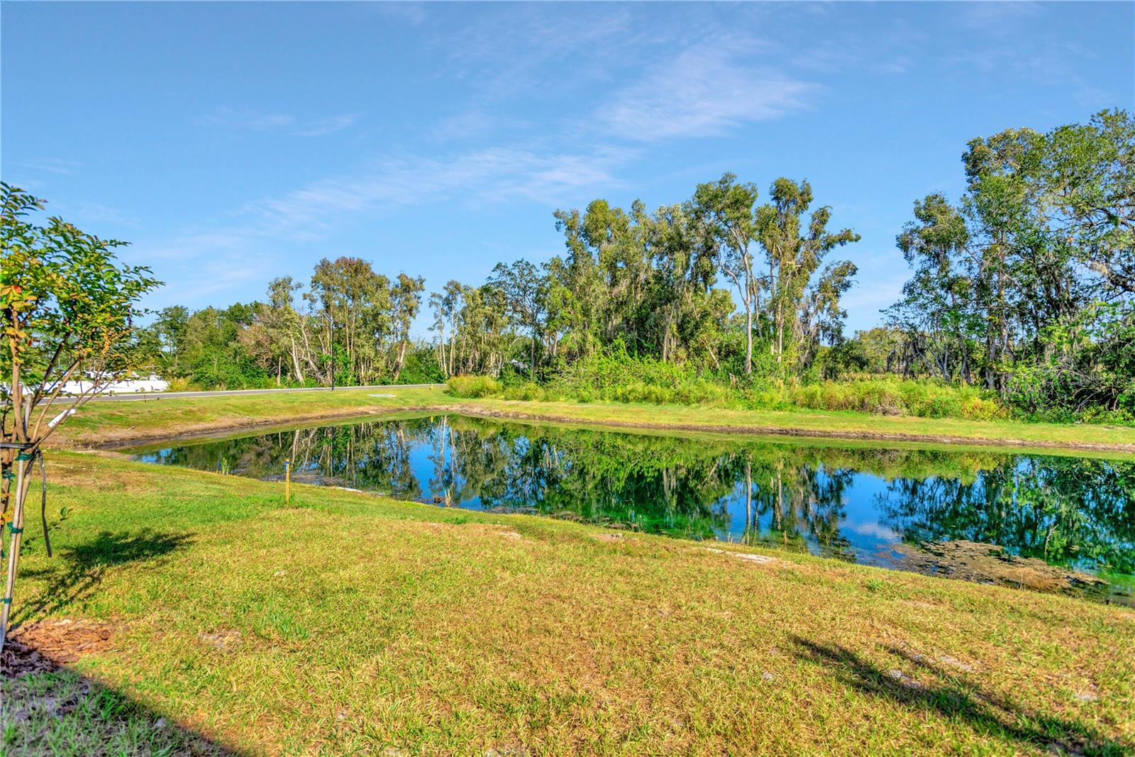 Image 52 of 60 For 6032 Shiner Street