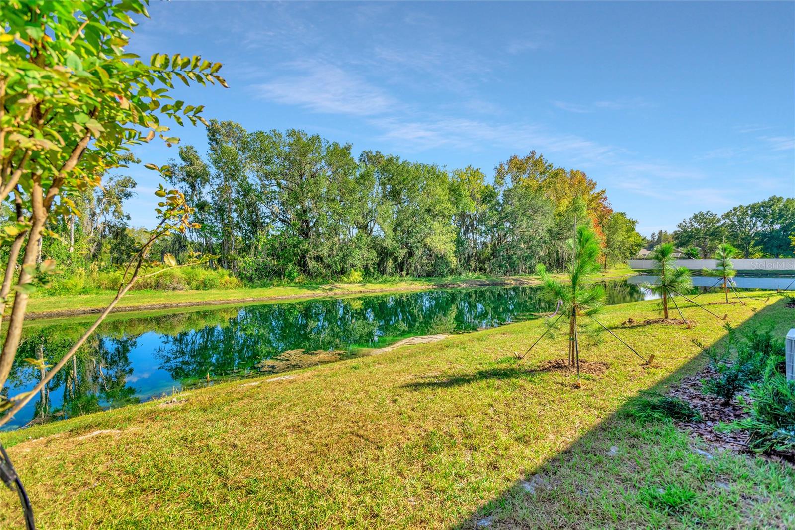 Image 53 of 60 For 6032 Shiner Street