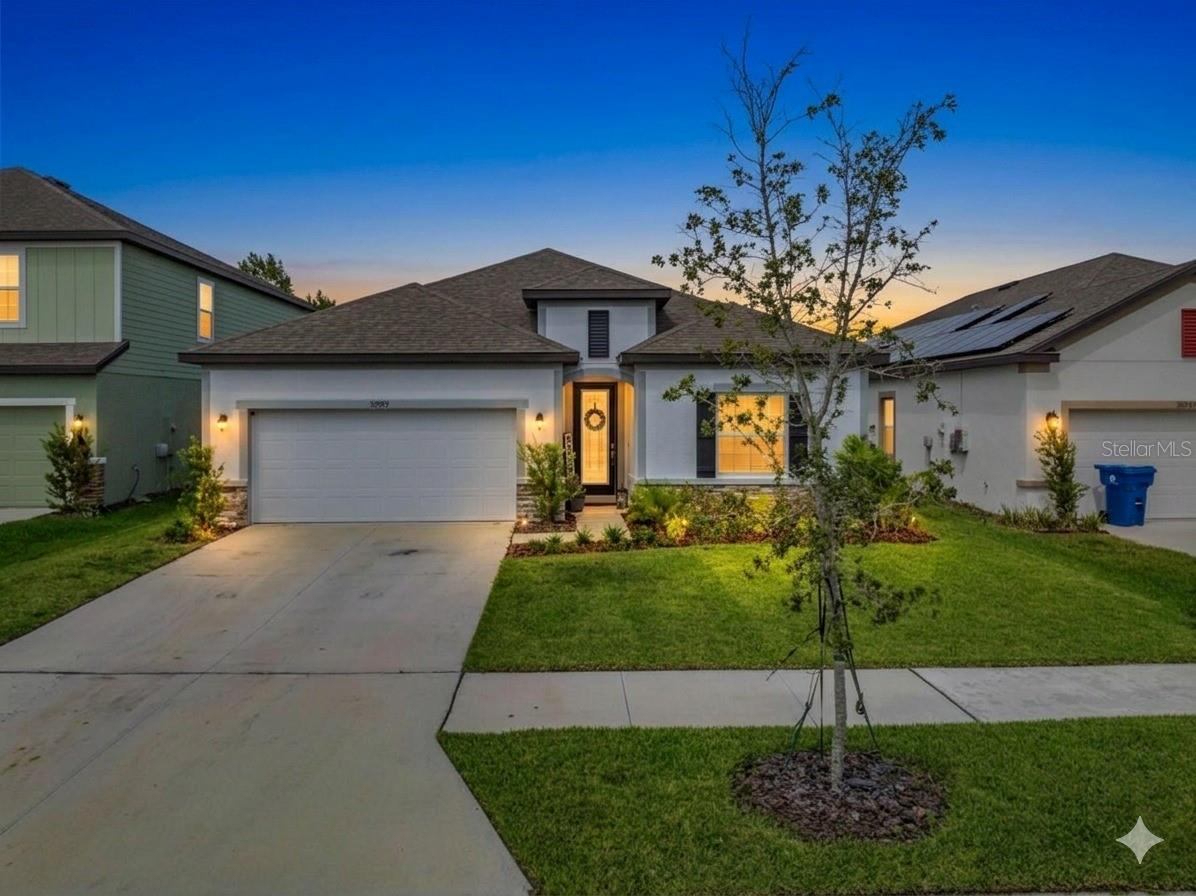 Details for 30989 Jazz Leaf Place, SAN ANTONIO, FL 33576