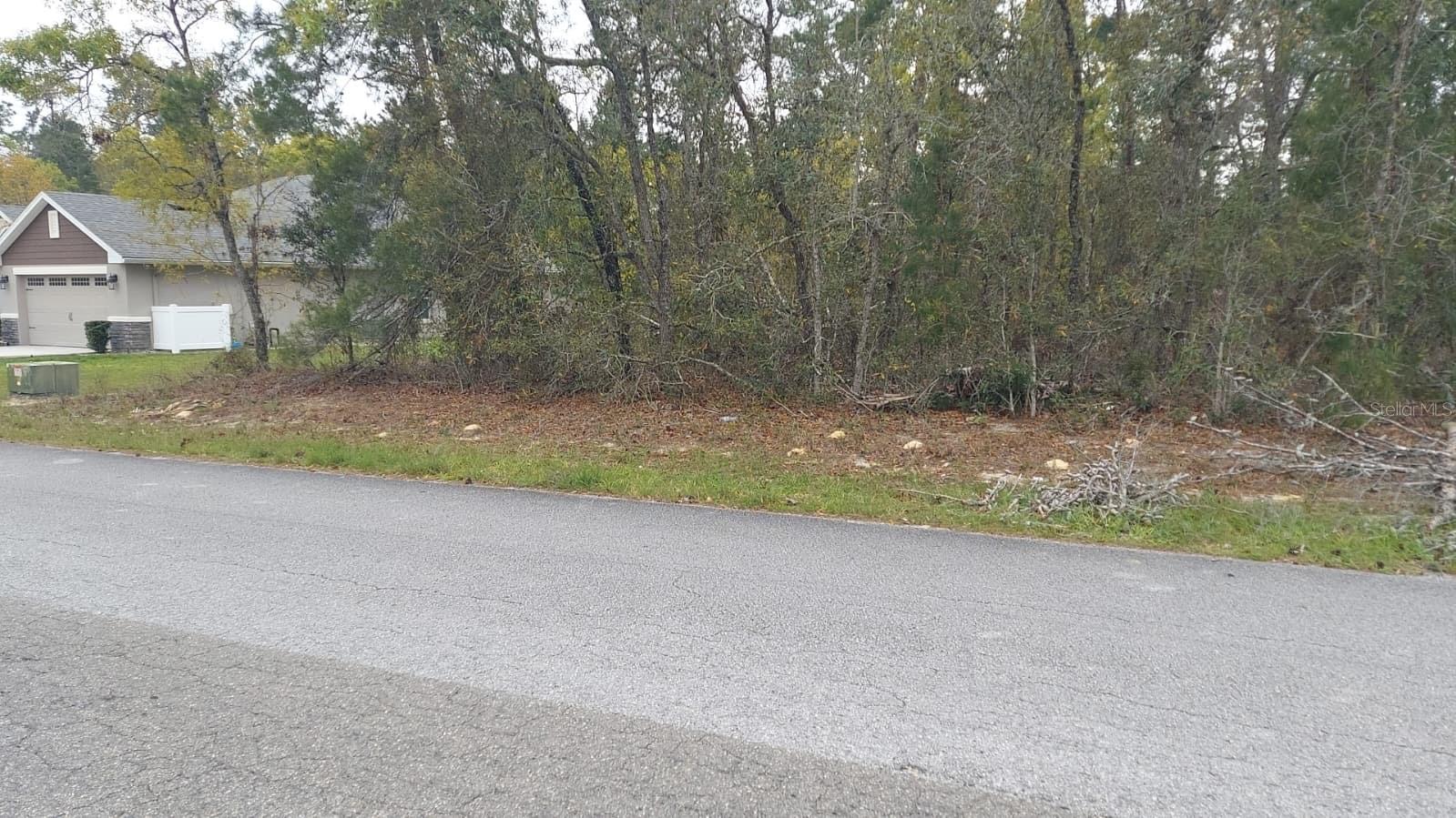 Details for 3 Tall Marigolds Ct,, HOMOSASSA, FL 34446