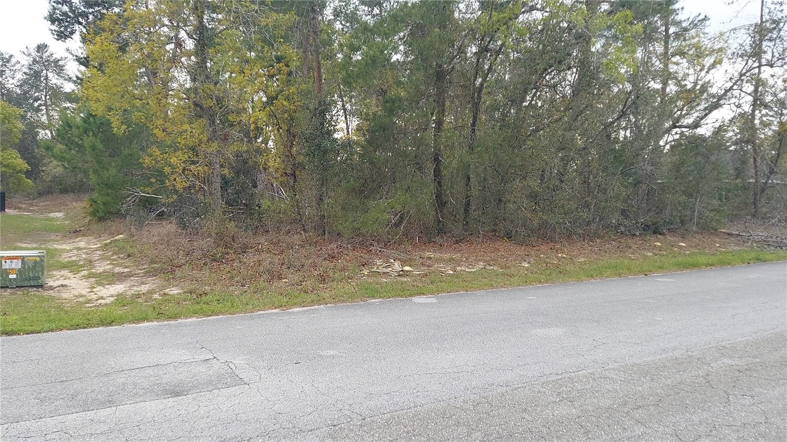 Image 2 of 5 For 3 Tall Marigolds Ct,