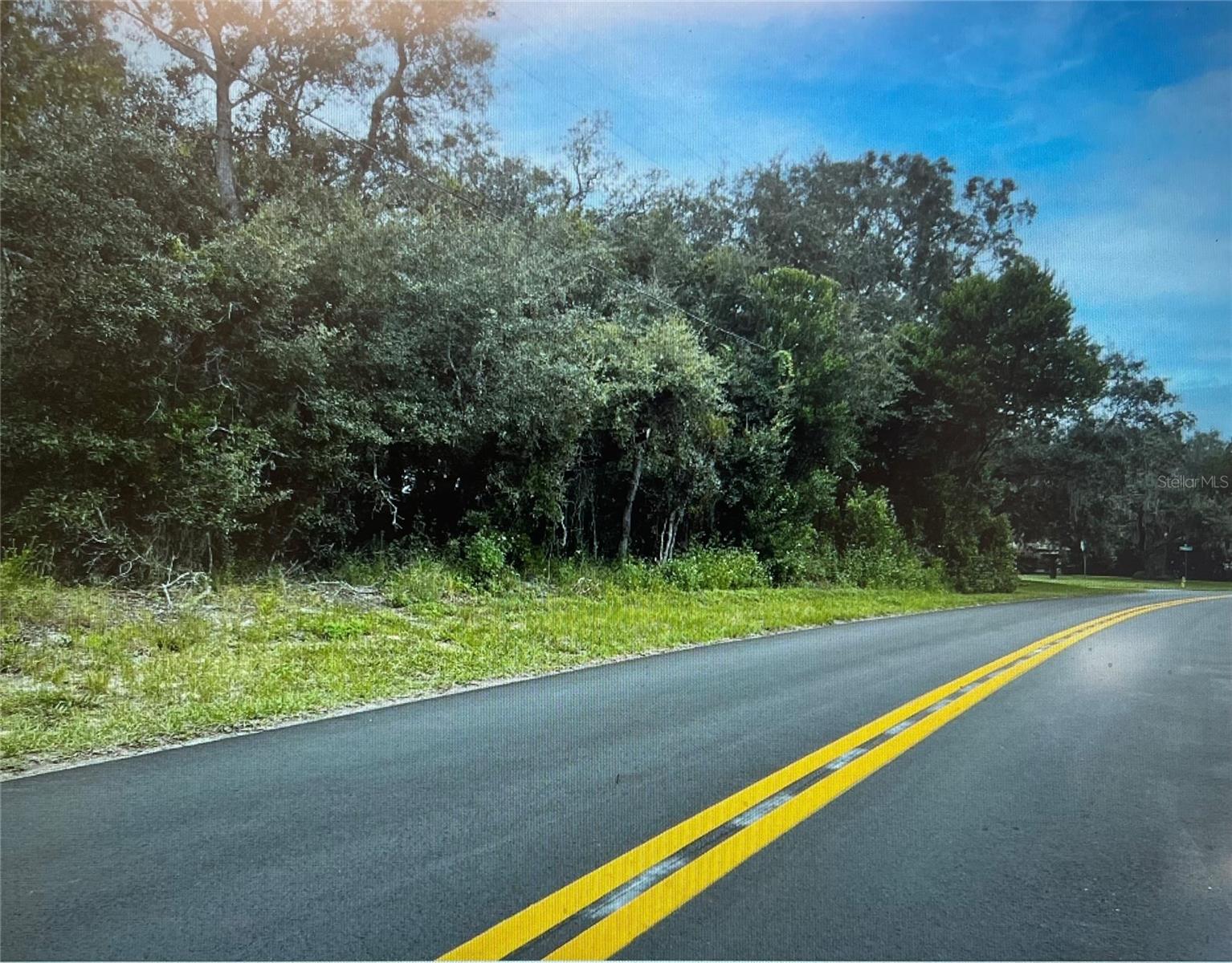 Image 4 of 5 For 3 Tall Marigolds Ct,