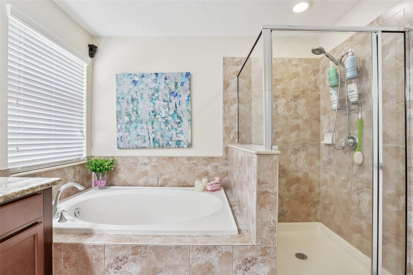 Image 49 of 92 For 537 Vista Ridge Drive