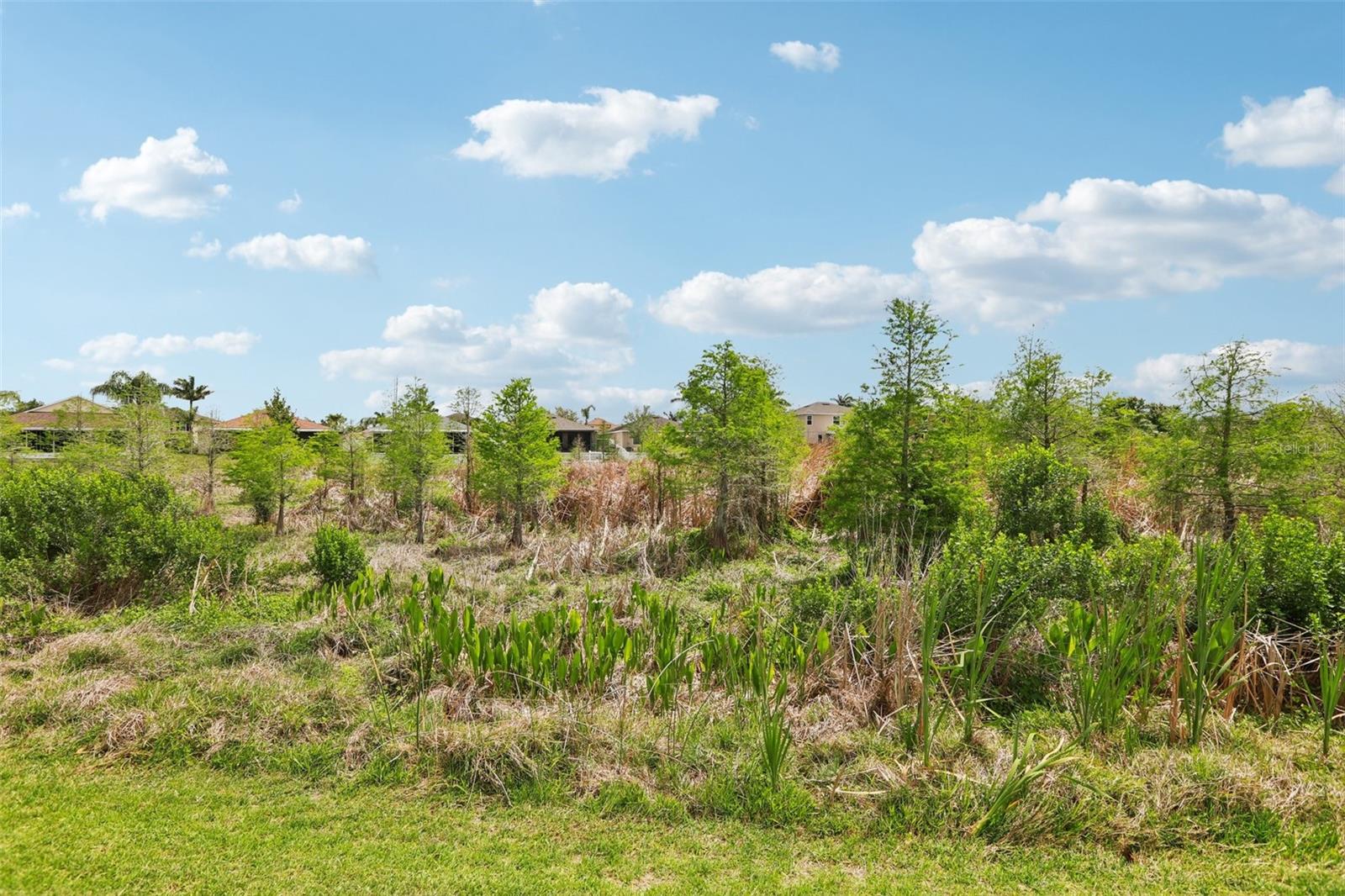 Image 74 of 92 For 537 Vista Ridge Drive