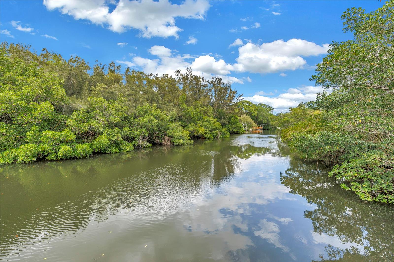 Image 37 of 42 For 992 San Carlos Court Ne