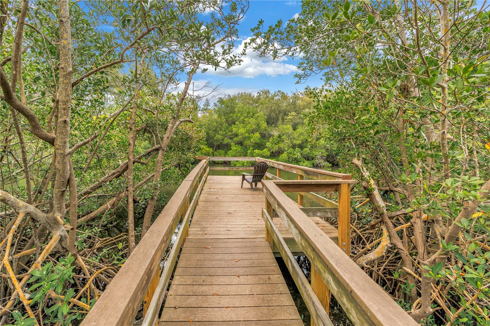 Image 38 of 42 For 992 San Carlos Court Ne