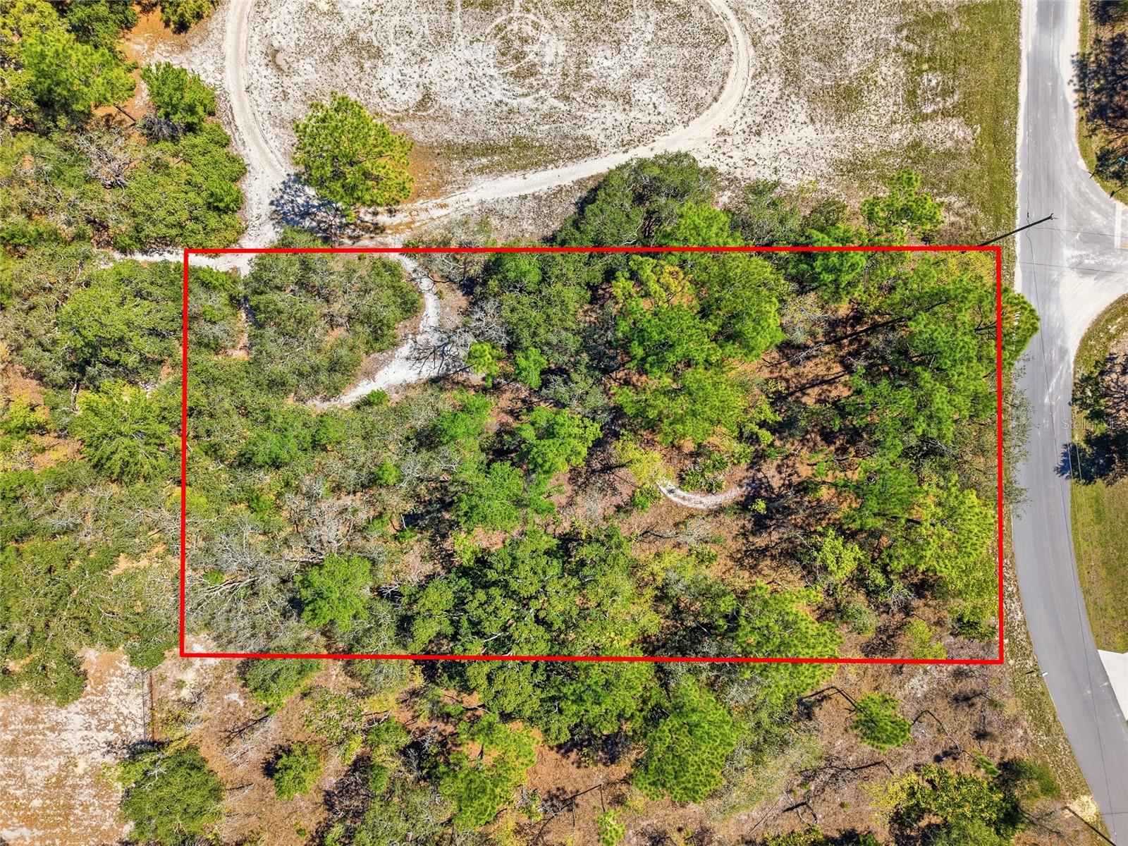 Image 10 of 17 For 11155 Marsh Wren Avenue