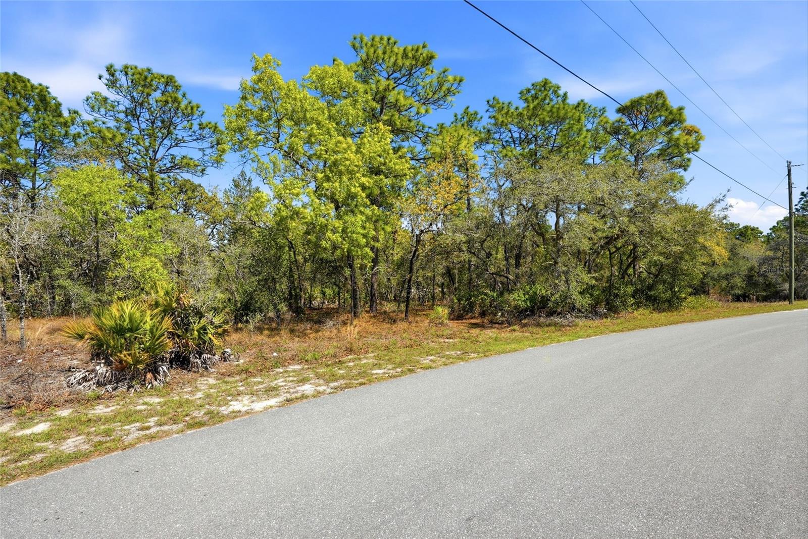 Image 9 of 17 For 11155 Marsh Wren Avenue