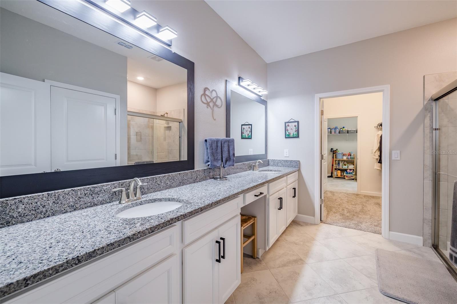 Image 26 of 48 For 31565 Cannon Rush Drive