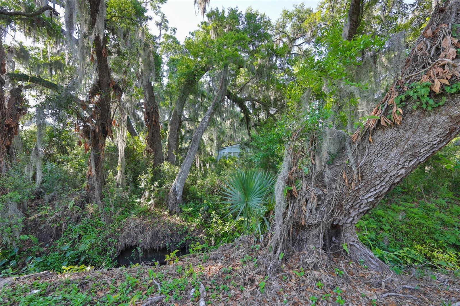 Listing photo id 14 for Address Not Provided