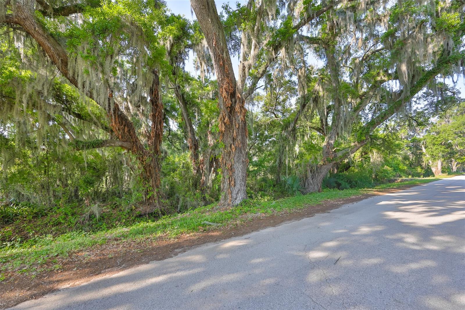 Listing photo id 15 for Address Not Provided