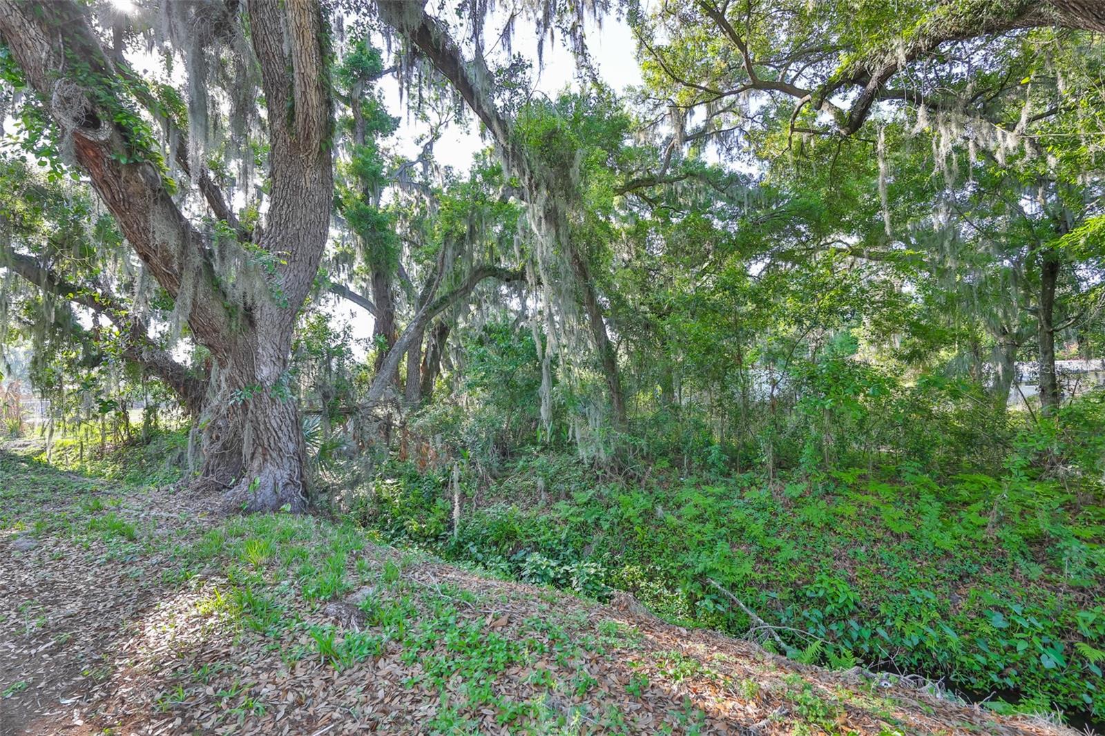 Listing photo id 16 for Address Not Provided