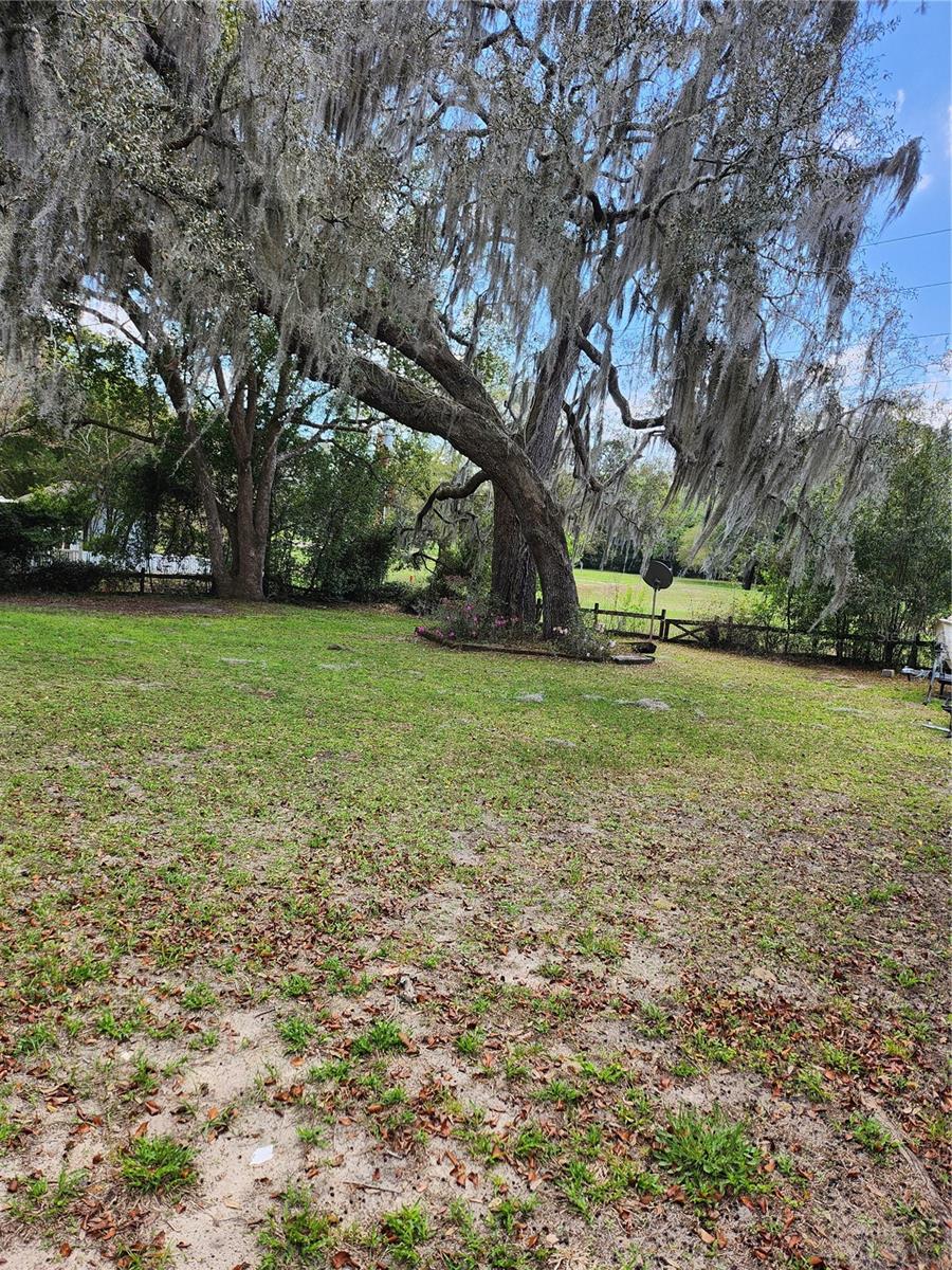 Listing photo id 17 for 2434 Gardenia Drive