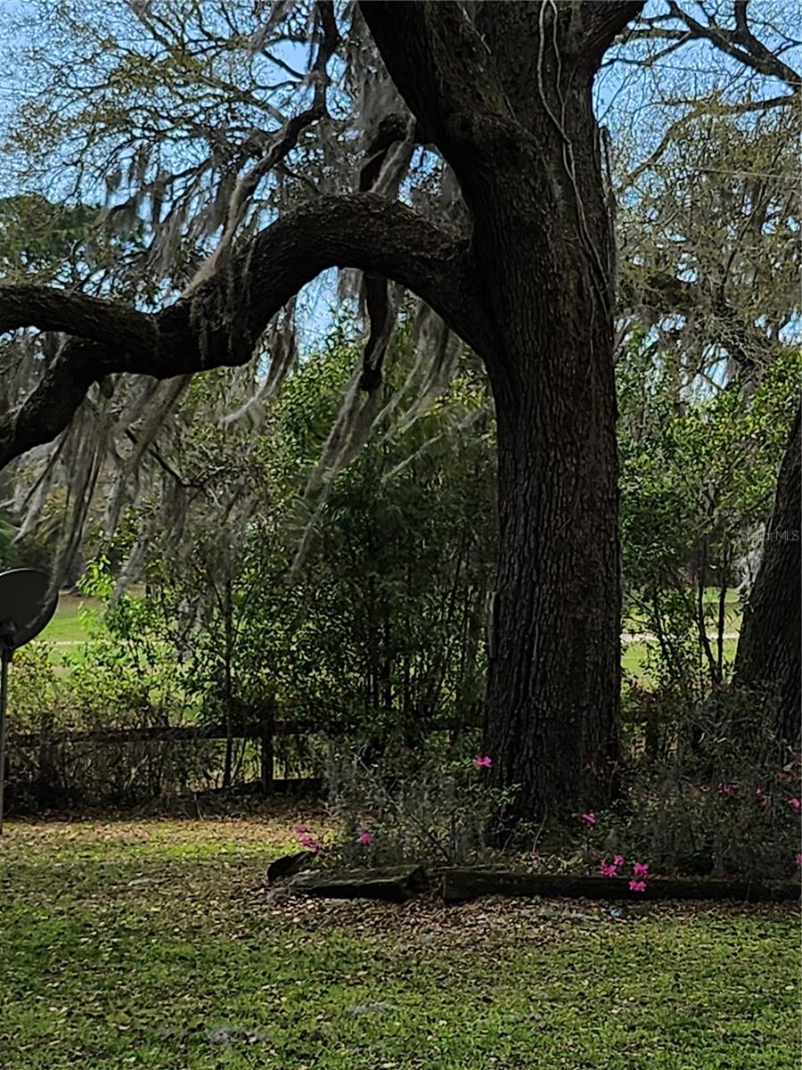 Listing photo id 18 for 2434 Gardenia Drive