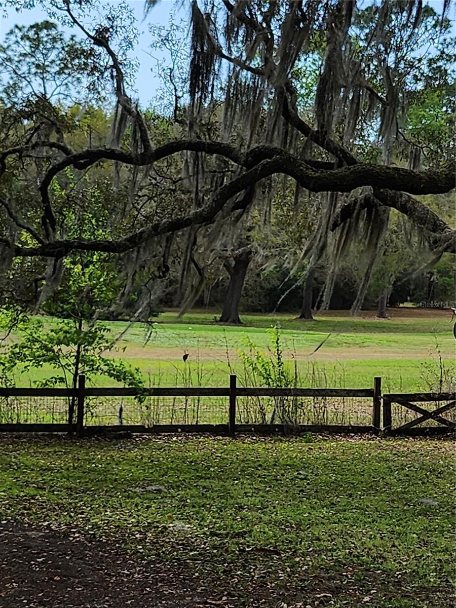 Listing photo id 19 for 2434 Gardenia Drive