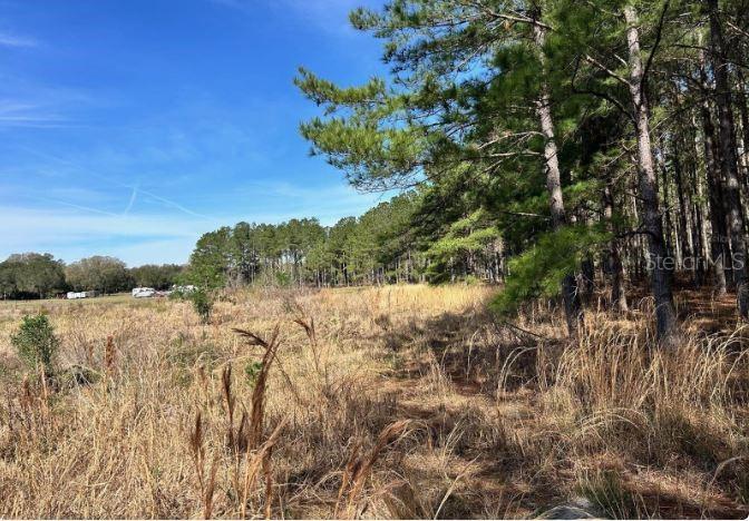 Image 4 of 5 For 4477 C 48  